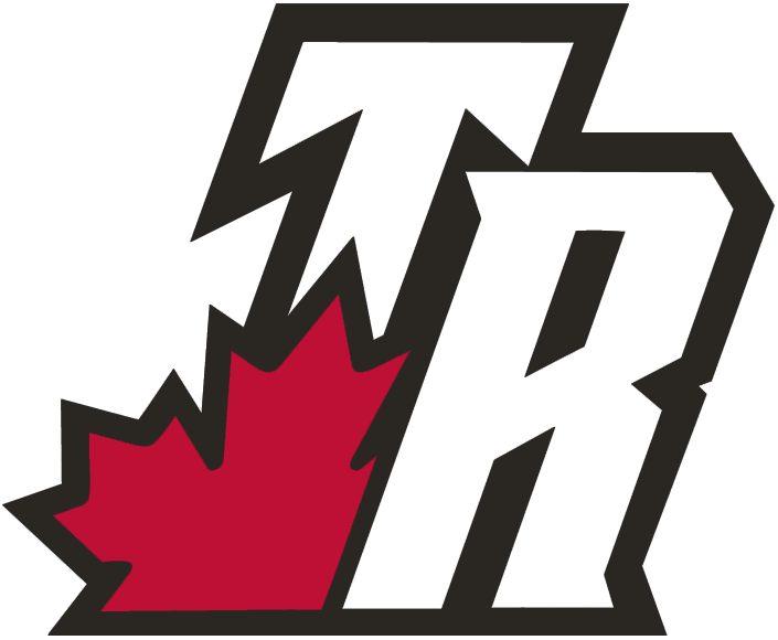 Toronto Raptors 2003-2008 Alternate Logo t shirts iron on transfers